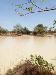 Bouwgrond Te Koop 0000 Brikama Gambia  DE