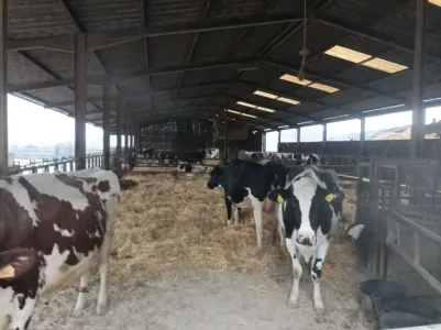 Boerderij Te Koop 54000 GRAFIGNY FR